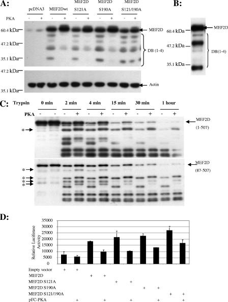 FIG. 8.