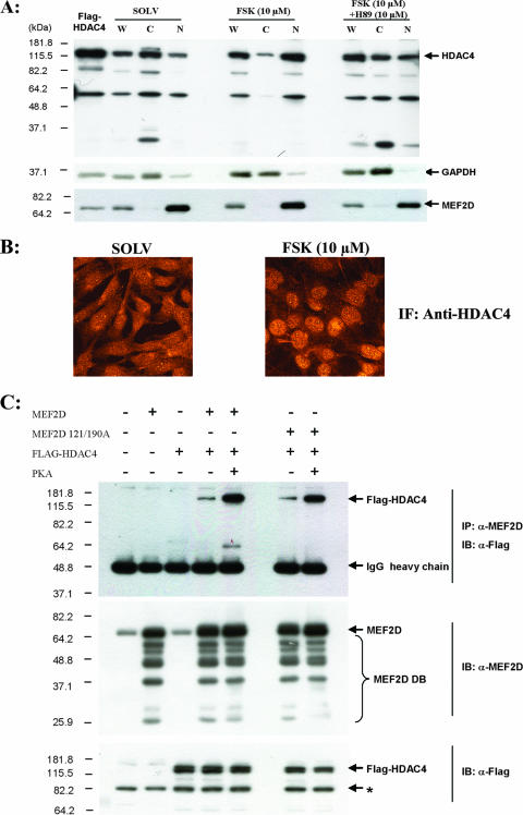 FIG. 9.