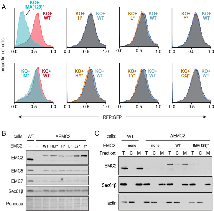 Figure 3—figure supplement 2.