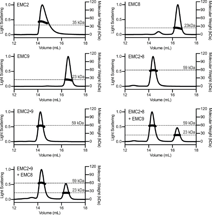 Figure 1—figure supplement 1.