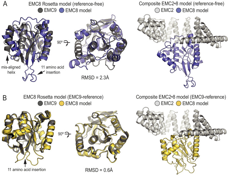 Figure 2—figure supplement 1.