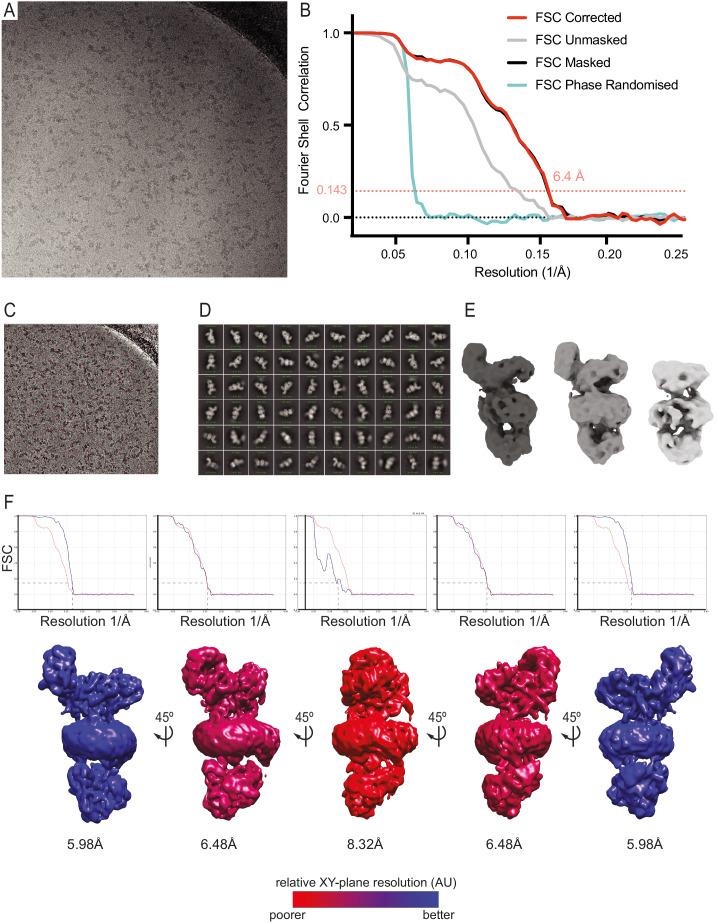 Figure 4—figure supplement 1.