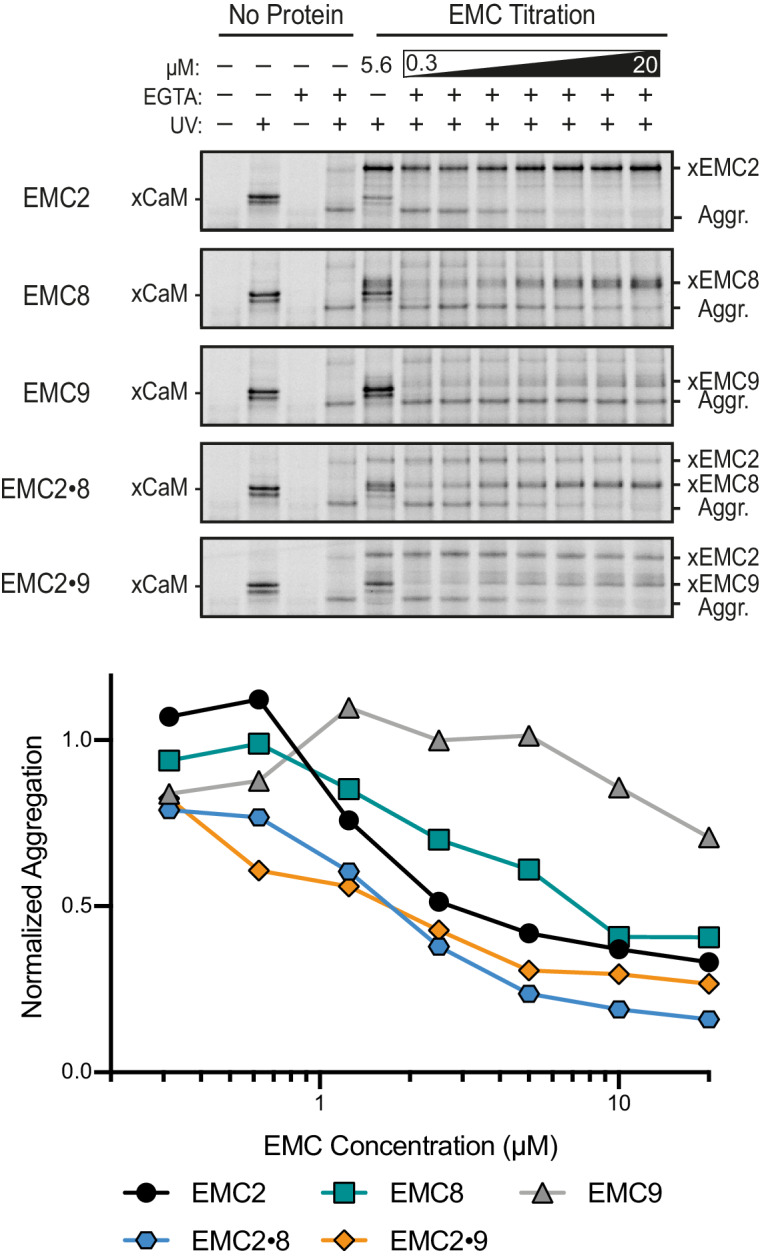 Figure 1—figure supplement 2.