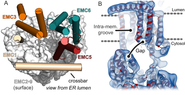 Figure 6.