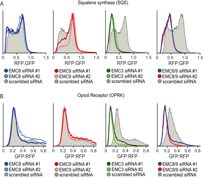 Figure 1—figure supplement 3.