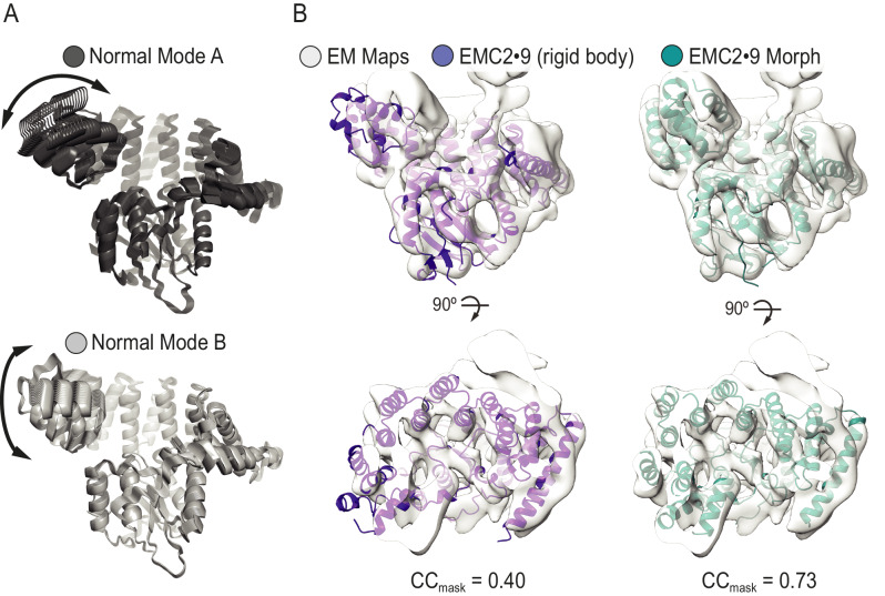 Figure 4—figure supplement 2.