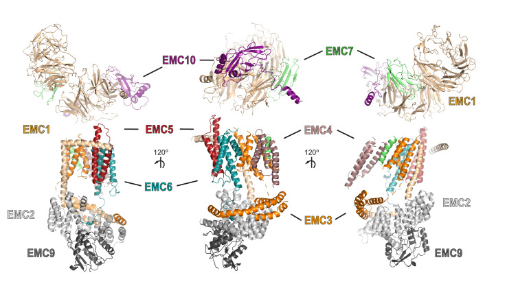 Figure 5—figure supplement 5.