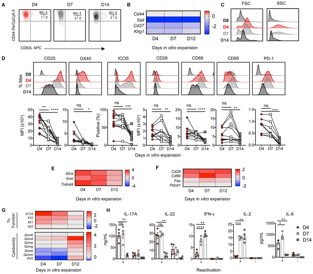 Figure 3: