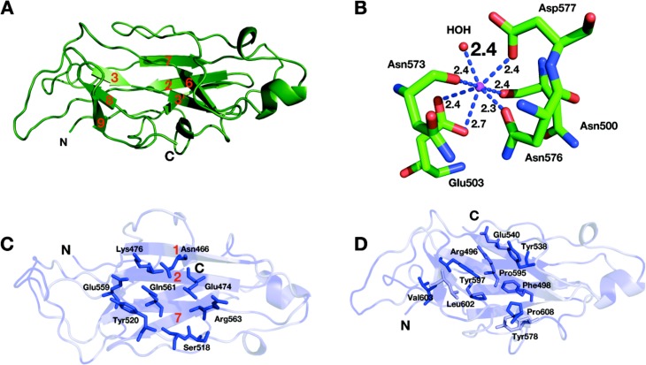 Figure 5