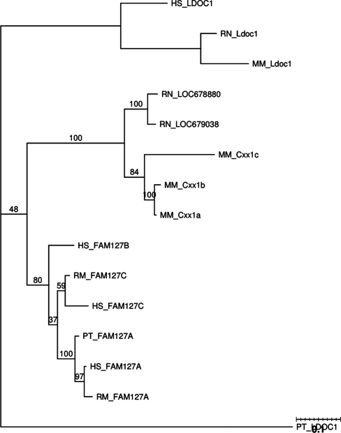 Figure 7.