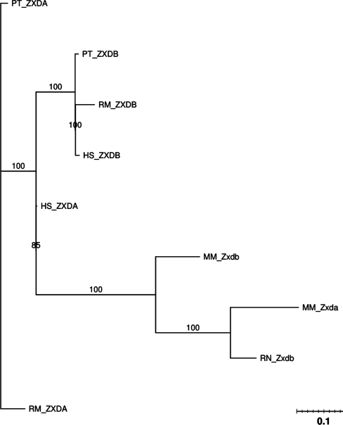 Figure 8.