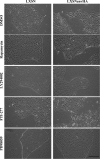 FIG. 6.