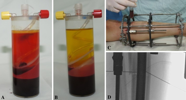 Fig. 2A–D