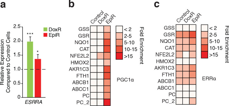 Figure 3—figure supplement 1.