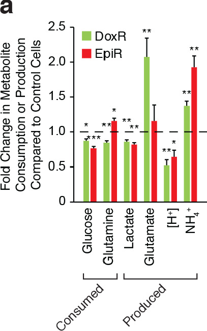 Figure 2—figure supplement 3.