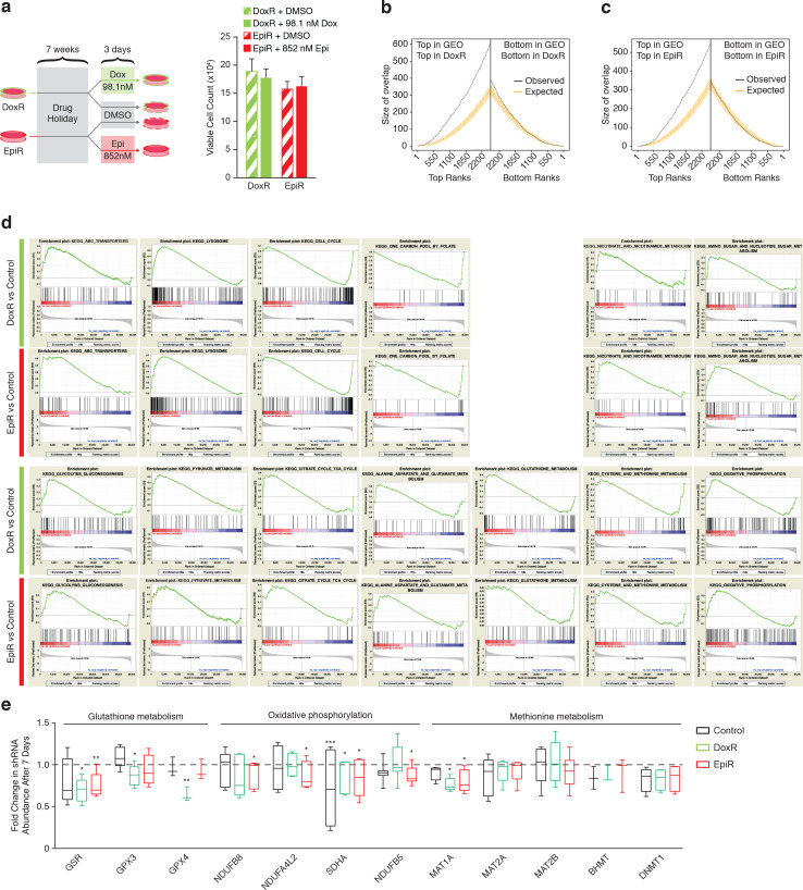 Figure 1—figure supplement 1.