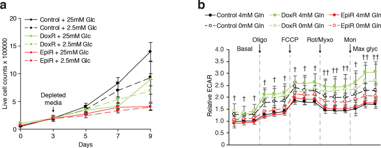 Figure 4—figure supplement 1.