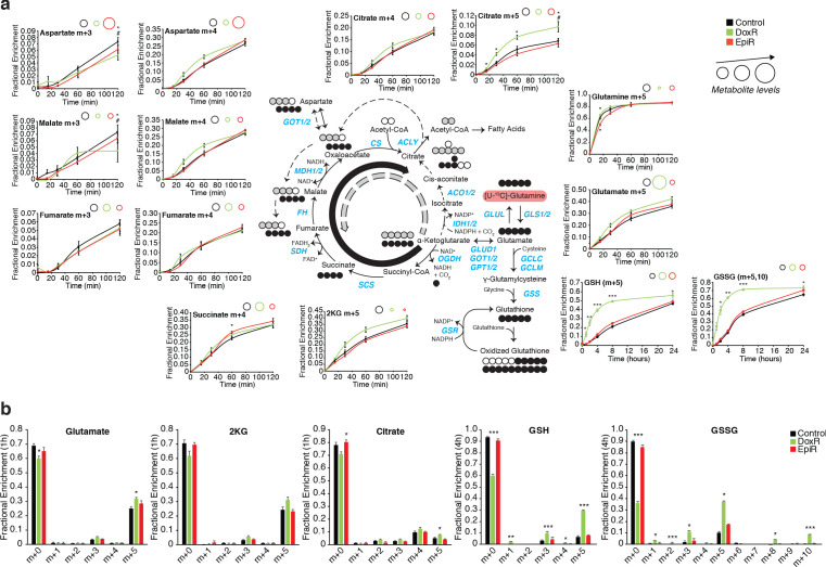 Figure 2—figure supplement 2.