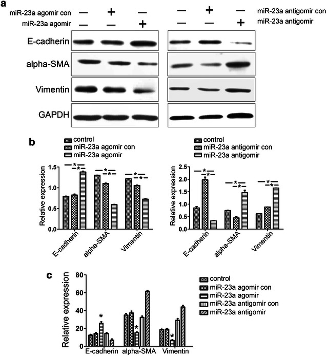 Fig. 6