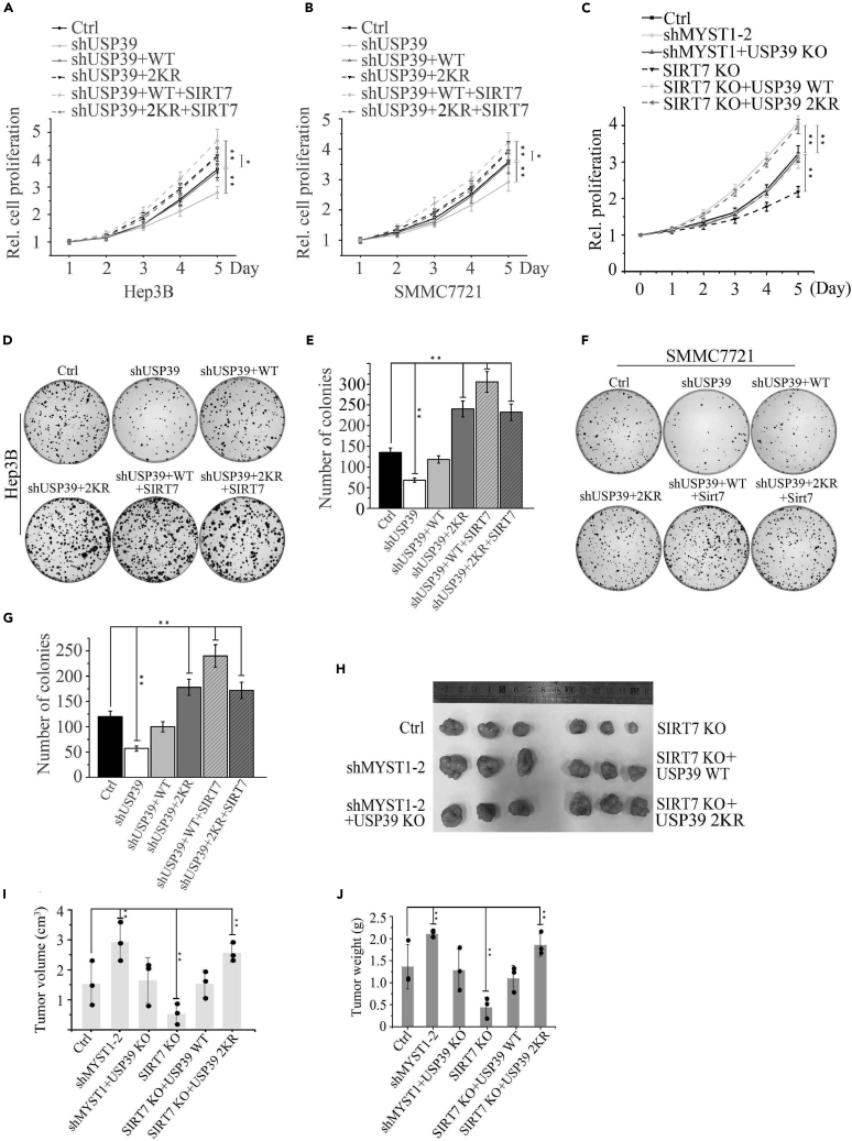 Figure 6