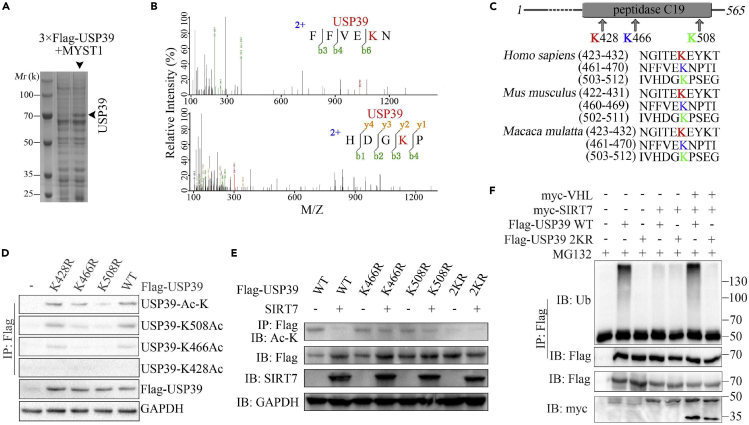 Figure 4