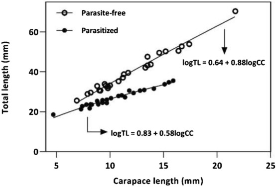 Fig. 5