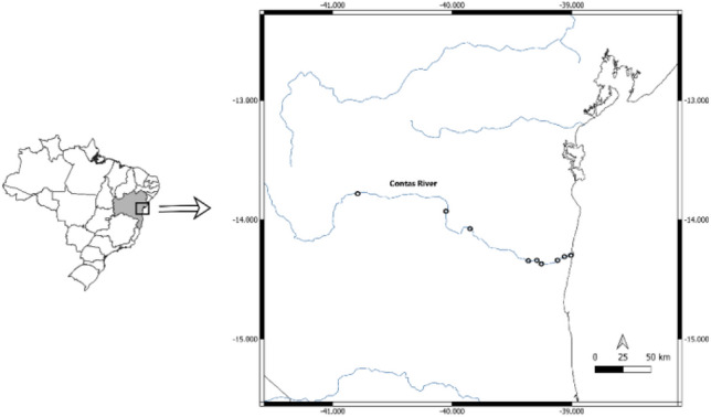 Fig. 1