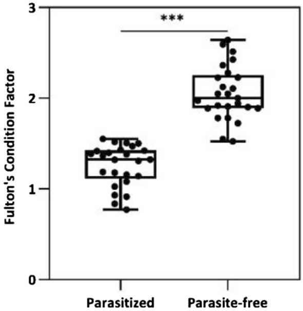 Fig. 4