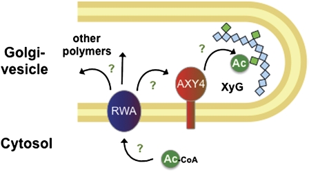 Figure 5.