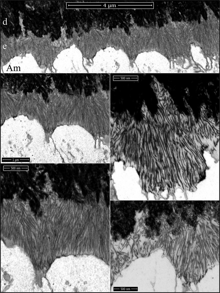 Figure 12