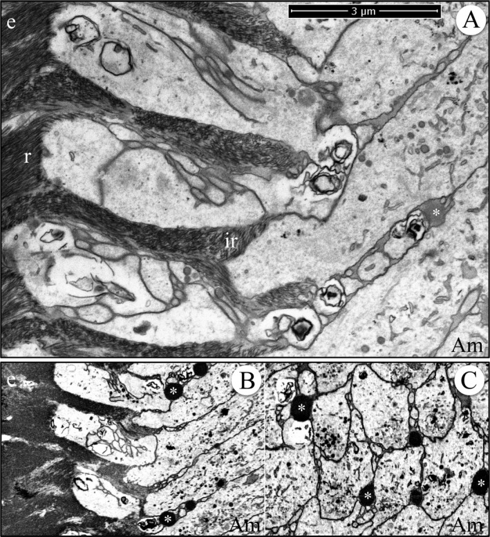 Figure 13