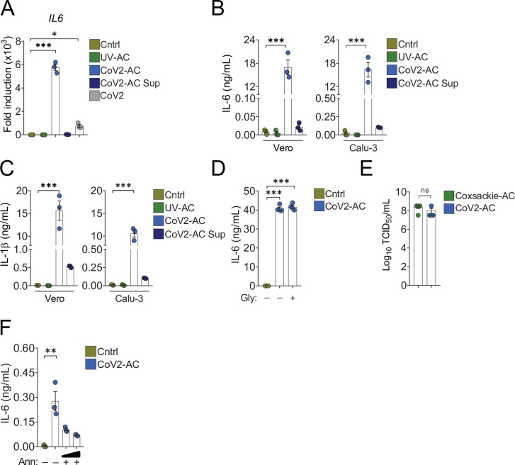 Figure 3—figure supplement 1.