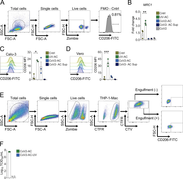 Figure 2—figure supplement 1.