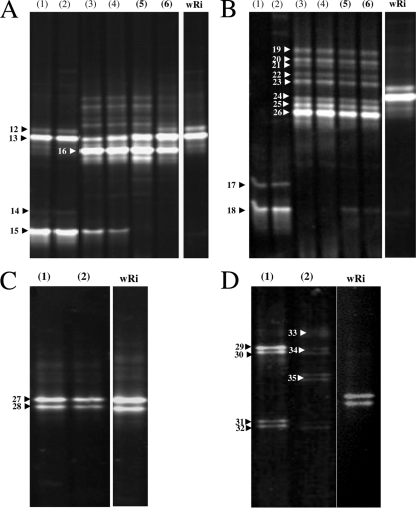 FIG. 3.