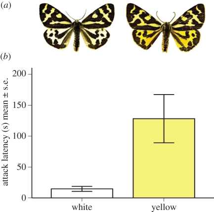 Figure 1.