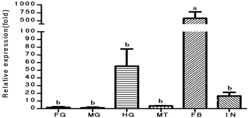 Fig. 5.