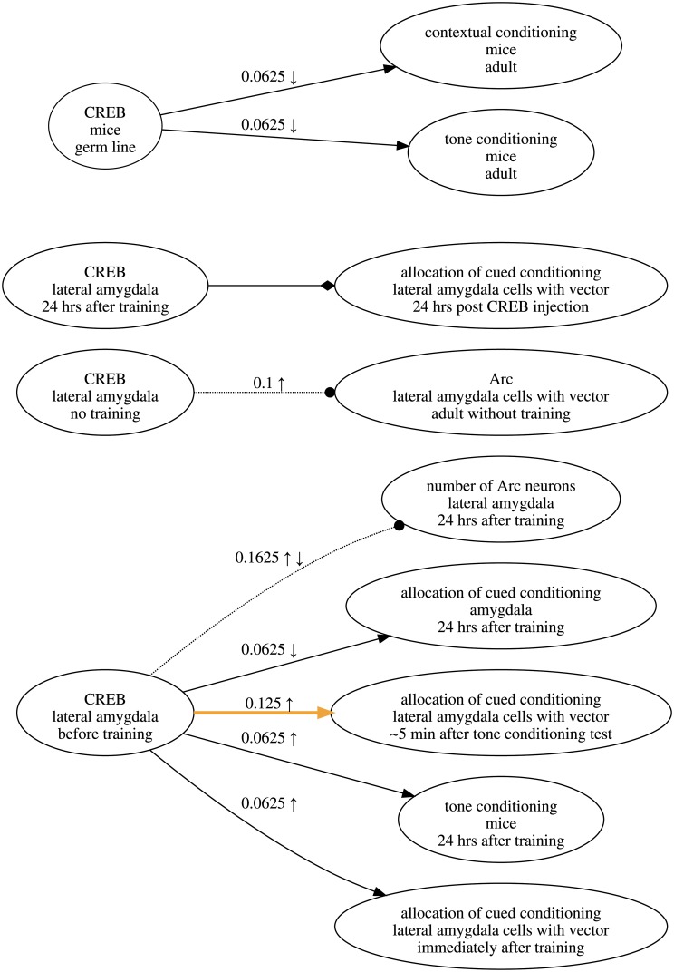 Fig 10