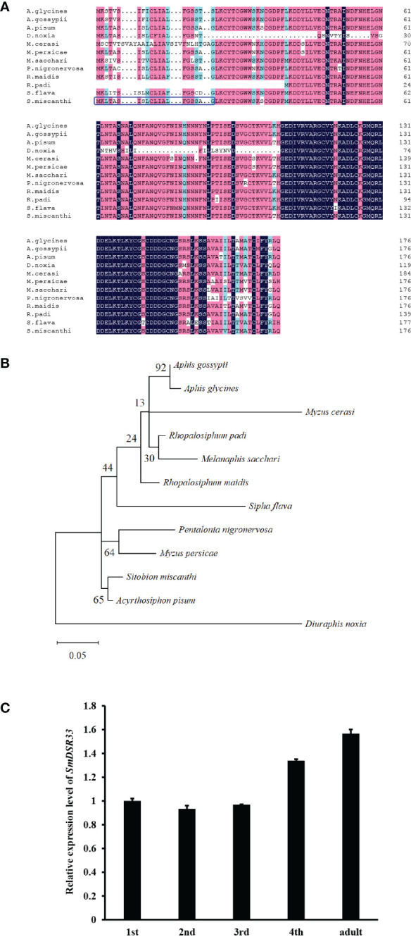 Figure 1