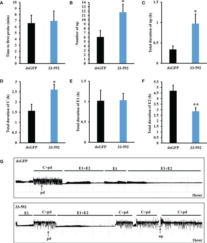 Figure 4