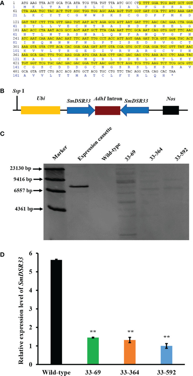 Figure 2