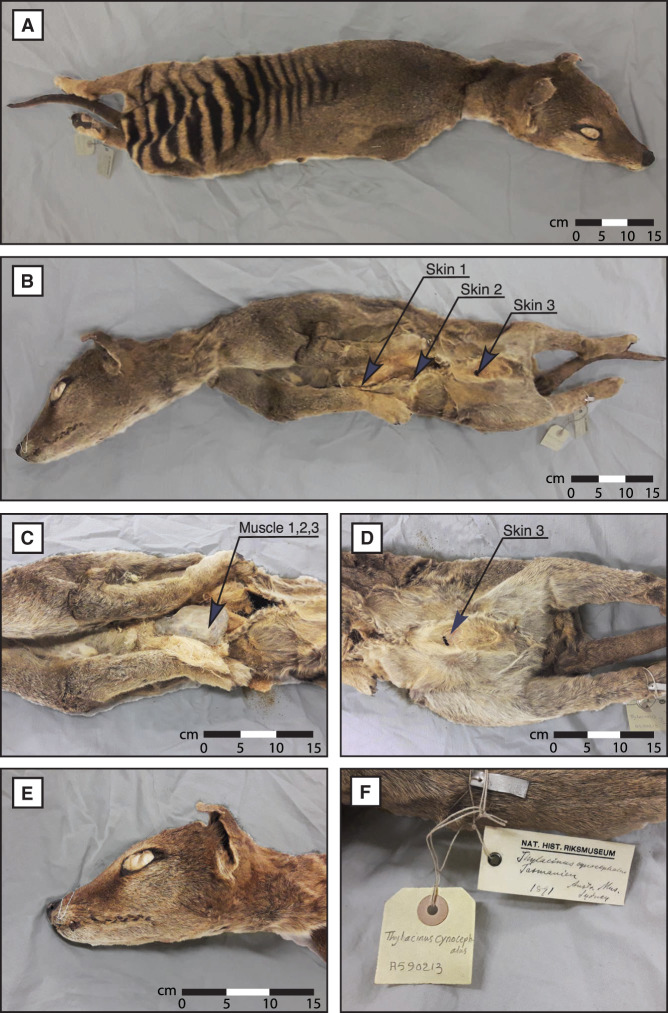 Figure 1.