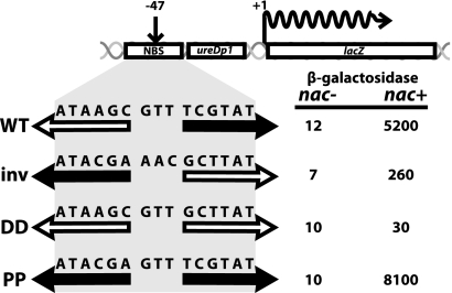 FIG. 2.