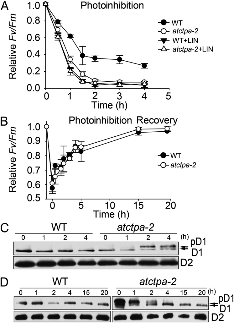 Fig. 6.