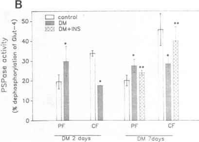 graphic file with name jcinvest00052-0091-d.jpg