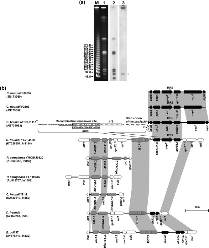 FIG 1