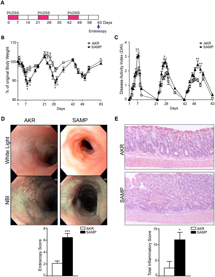 Fig 5