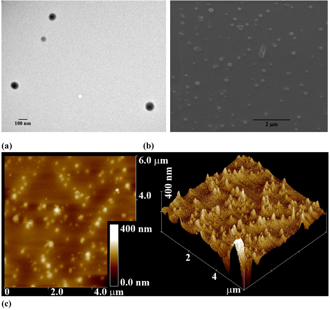 Figure 10