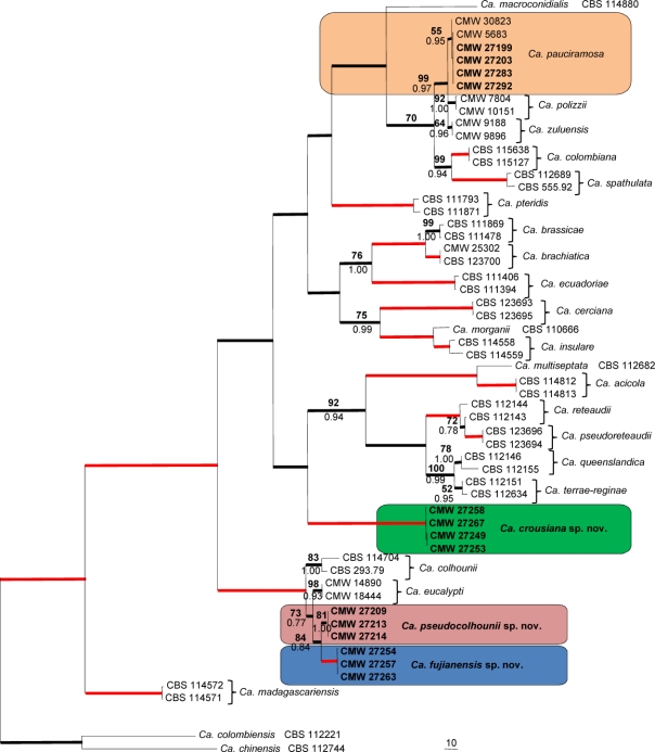 Fig. 1