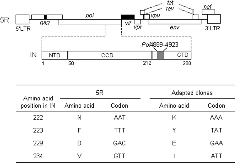 FIG 1