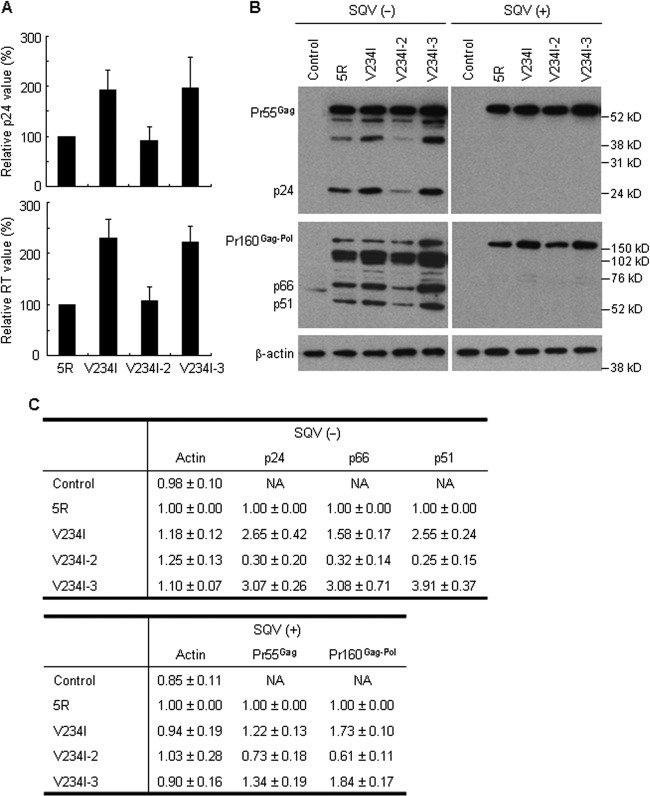 FIG 6